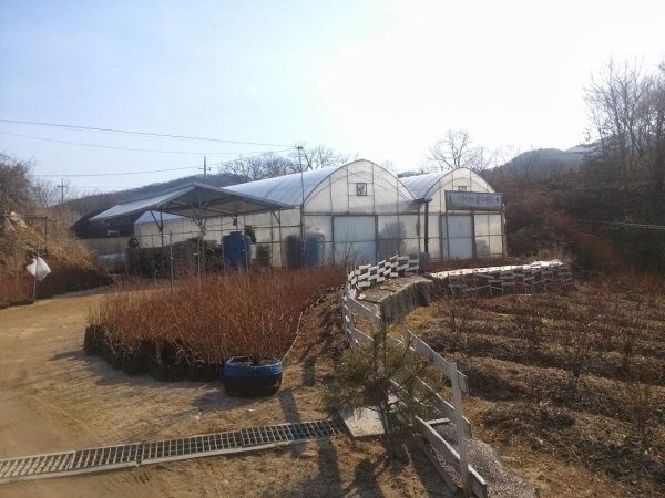 블루베리 견학 